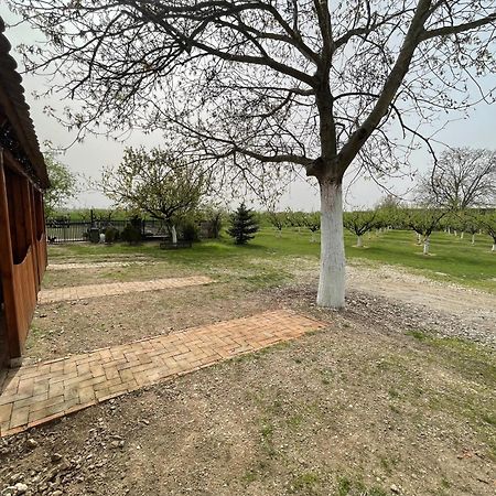 Salaš Isailovi Sremska Mitrovica Exteriér fotografie