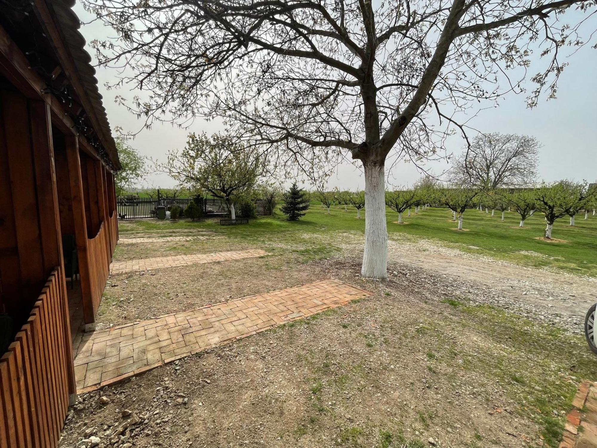 Salaš Isailovi Sremska Mitrovica Exteriér fotografie